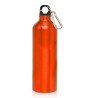 USA Printed 24 oz Aluminum Bottle with Carabiner